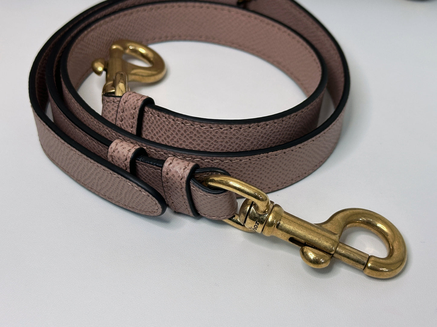 Christian Dior Saddle Bag with Strap Golden Saddle Nude Brush Grained Calfskin 2023 year