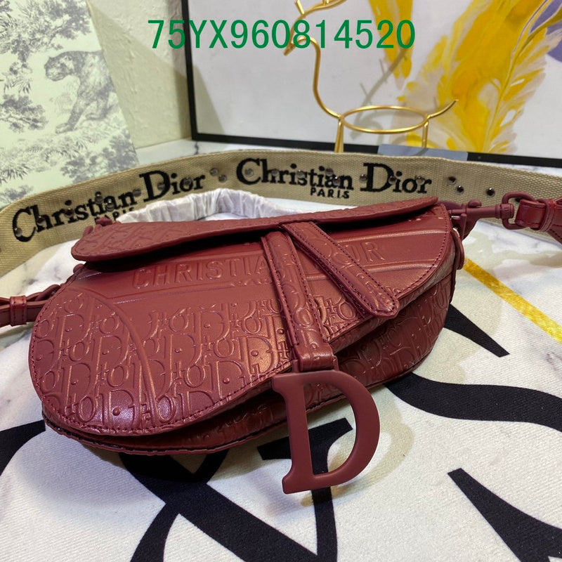 Christian Dior Luxury Bag - The Tote   580
