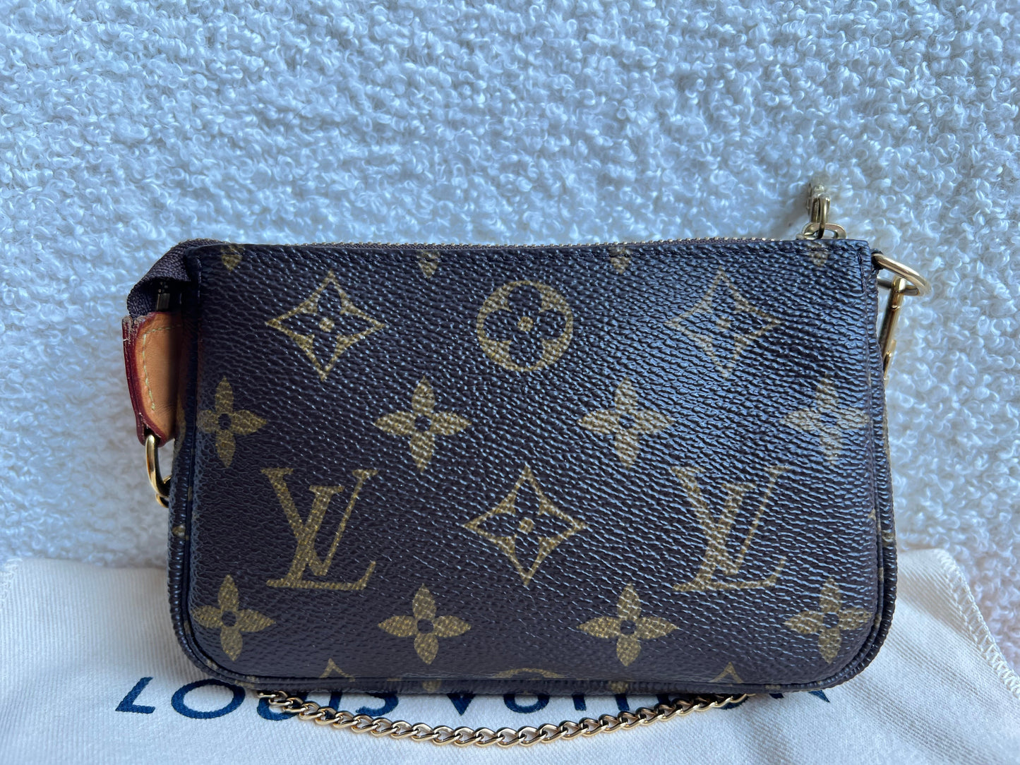 Louis Vuitton Monogram Mini Pochette Accessoires (RRP £530)