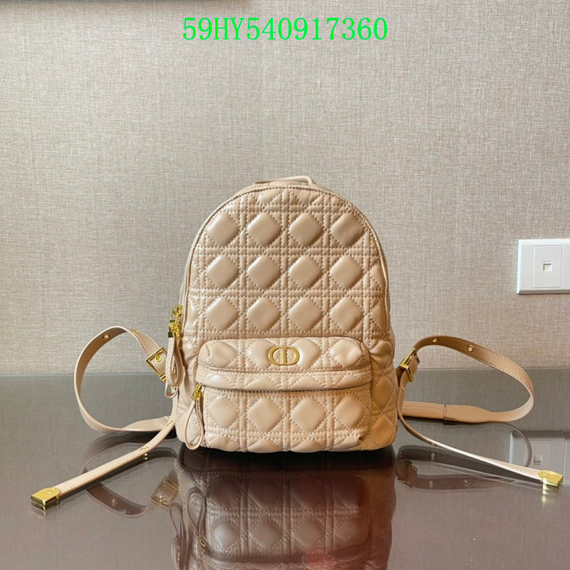 Christian Dior Luxury - The Tote   729