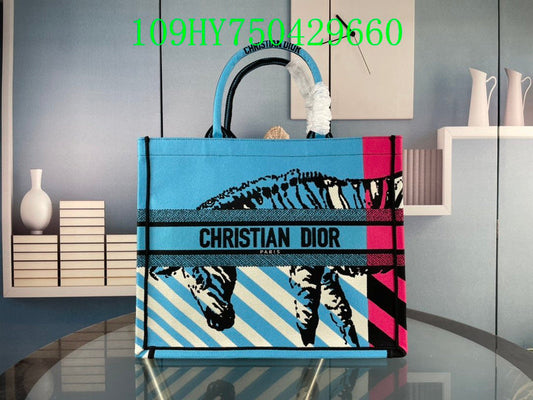 Christian Dior Luxury Bag - The Tote   301