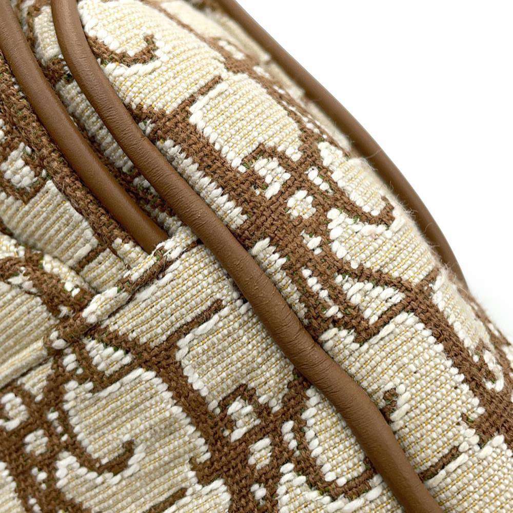 Dior Saddlebag CACTUS JACKCollaboration Beige/Brown 1ADPO093JOD Canvas Leather