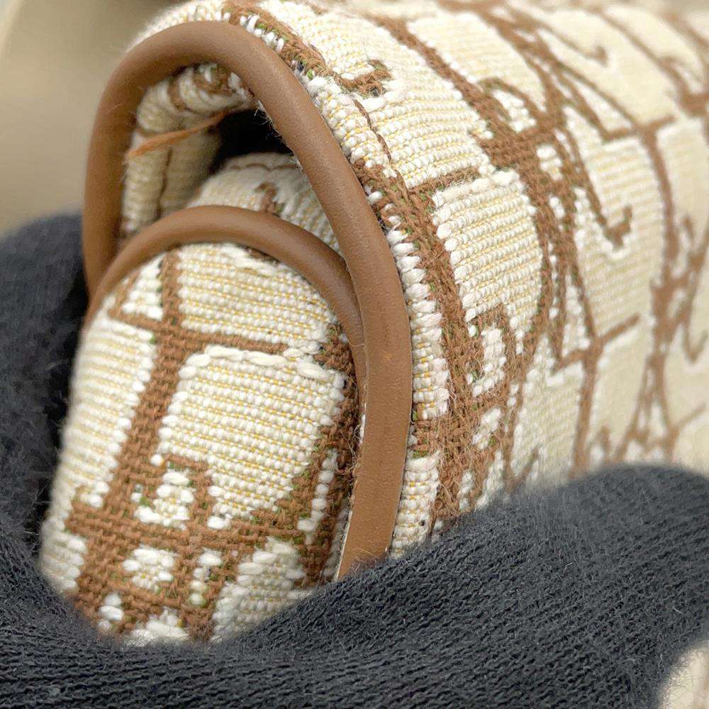 Dior Saddlebag CACTUS JACKCollaboration Beige/Brown 1ADPO093JOD Canvas Leather