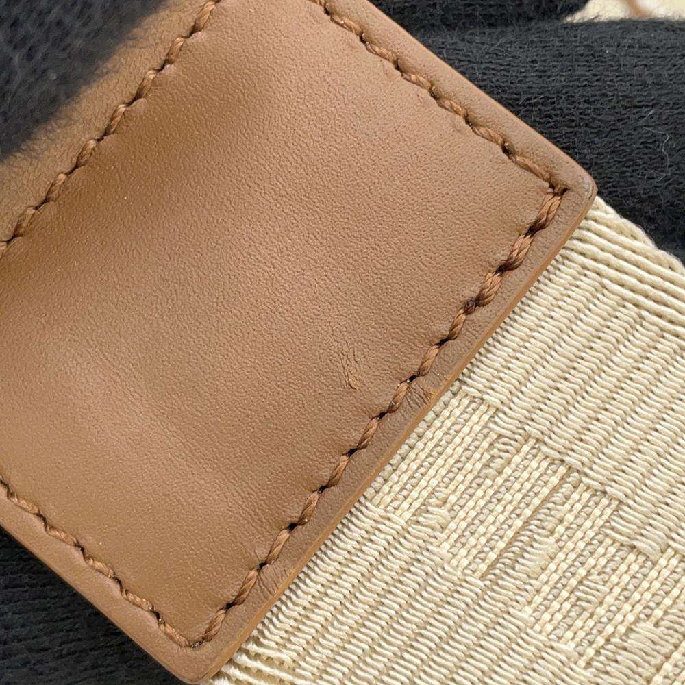 Dior Saddlebag CACTUS JACKCollaboration Beige/Brown 1ADPO093JOD Canvas Leather