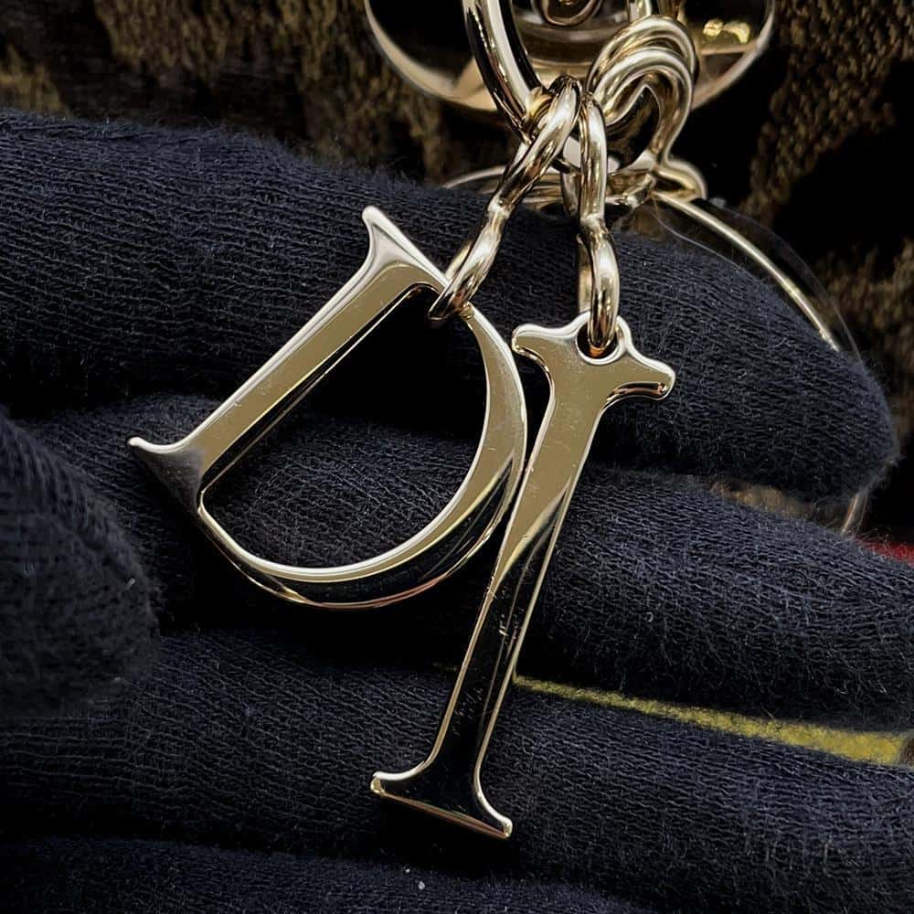 Dior Lady Dee Light Leopard Brown/Red/Yellow M0565OTGT Velvet Size Medium