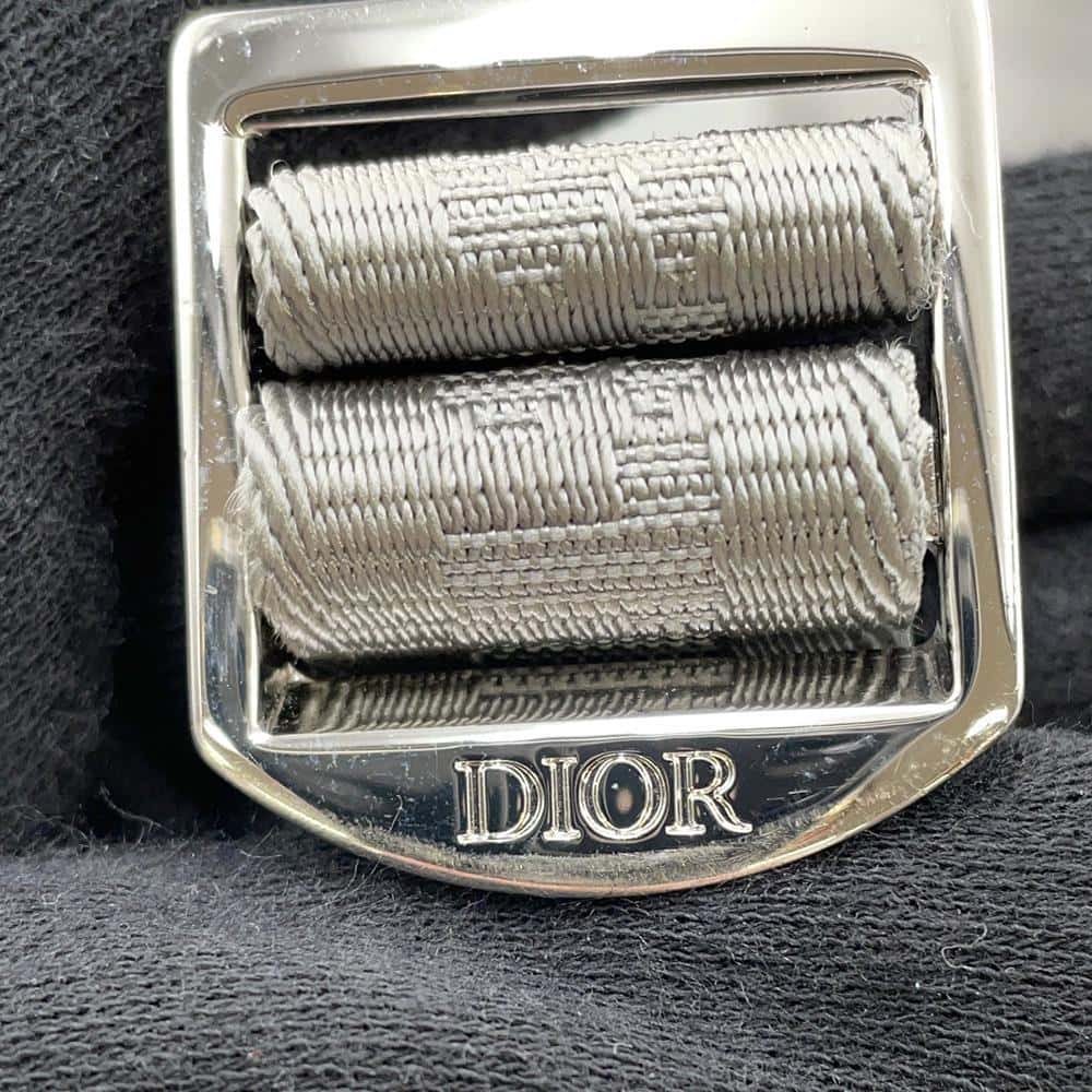 Dior Hit the Road CD Diamond Backpack Gray 1ESBA163CDP PVC Calf Leather Size Large