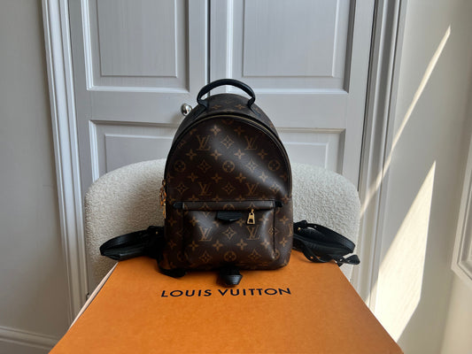 Louis Vuitton Palm Springs PM Backpack (RRP £1,860)