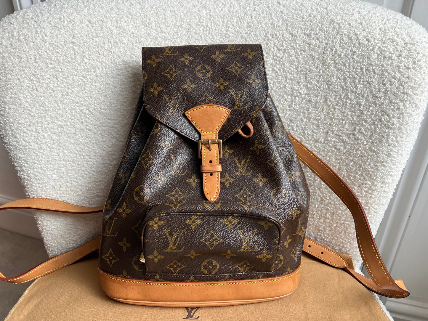Louis Vuitton Montsouris PM Backpack Monogram