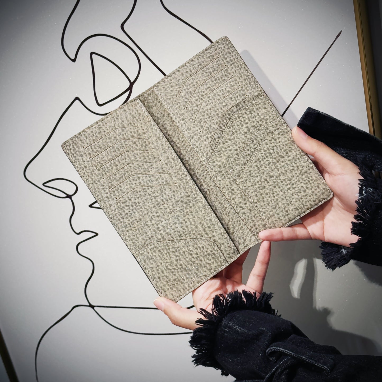 Louis Vuitton Taiga Leather Grey Wallet TWS