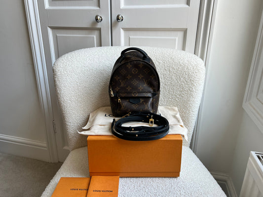 Louis Vuitton Palm Springs Mini Backpack (RRP £1,860)