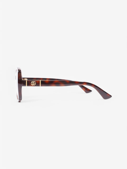 Gucci GG Sunglasses Tortoise  / Gold Acetate 145mm