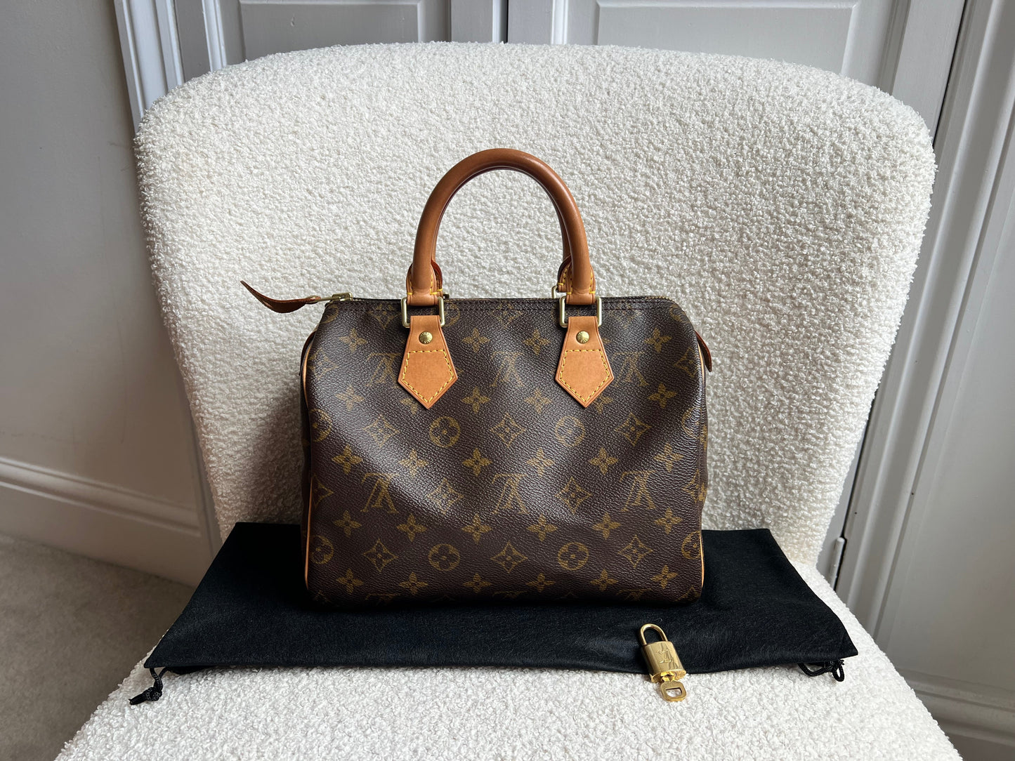 Louis Vuitton Speedy 25 Monogram