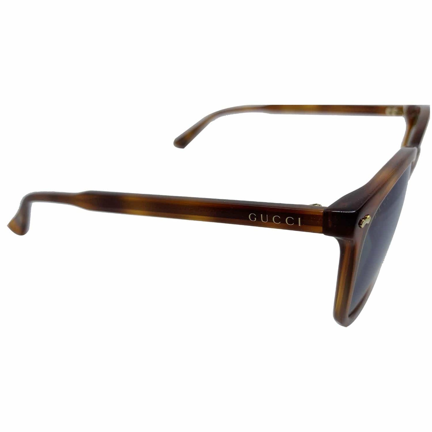 Gucci GG0196SK 003 Havana Frame Sunglasses Blue Lens