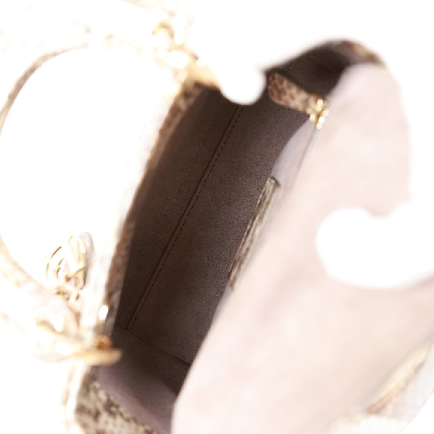 Christian Dior Mini Lady Dior Tote Python Gold Hardware