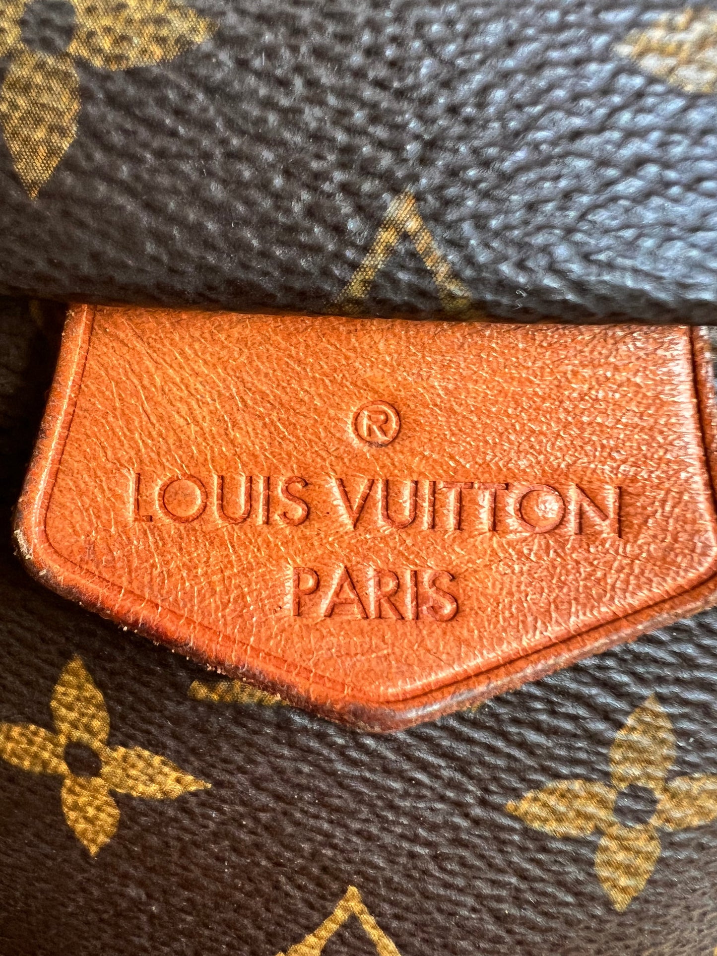 Louis Vuitton Bumbag in Monogram Canvas
