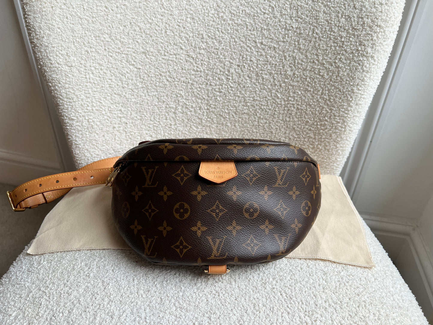 Louis Vuitton Bumbag in Monogram Canvas