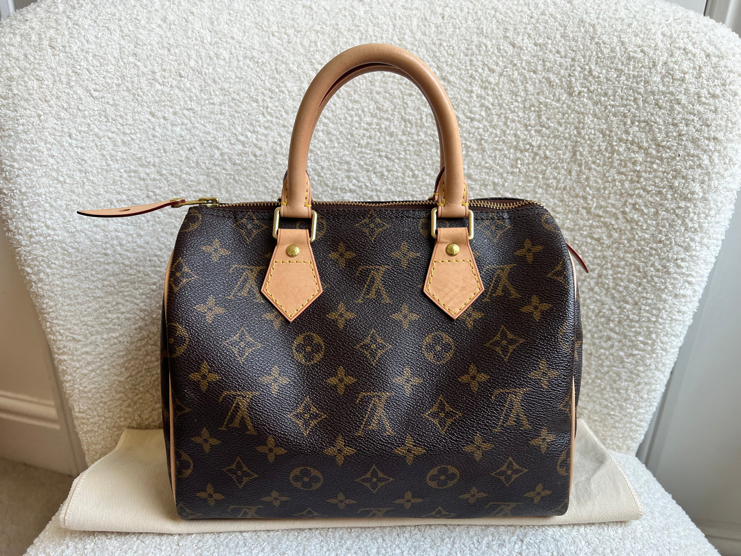 Louis Vuitton Speedy 25 Monogram
