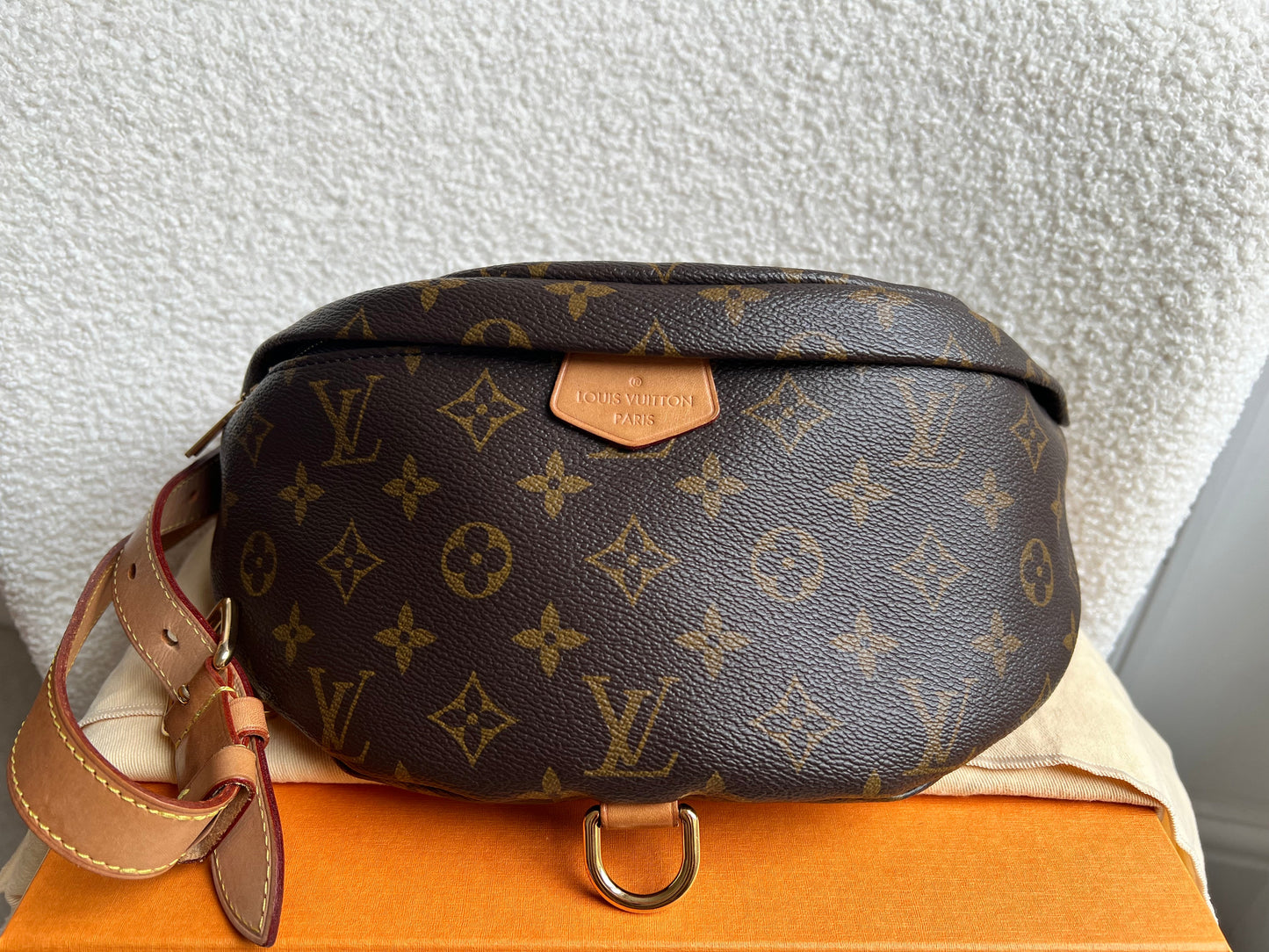 Louis Vuitton Bumbag in Monogram Canvas