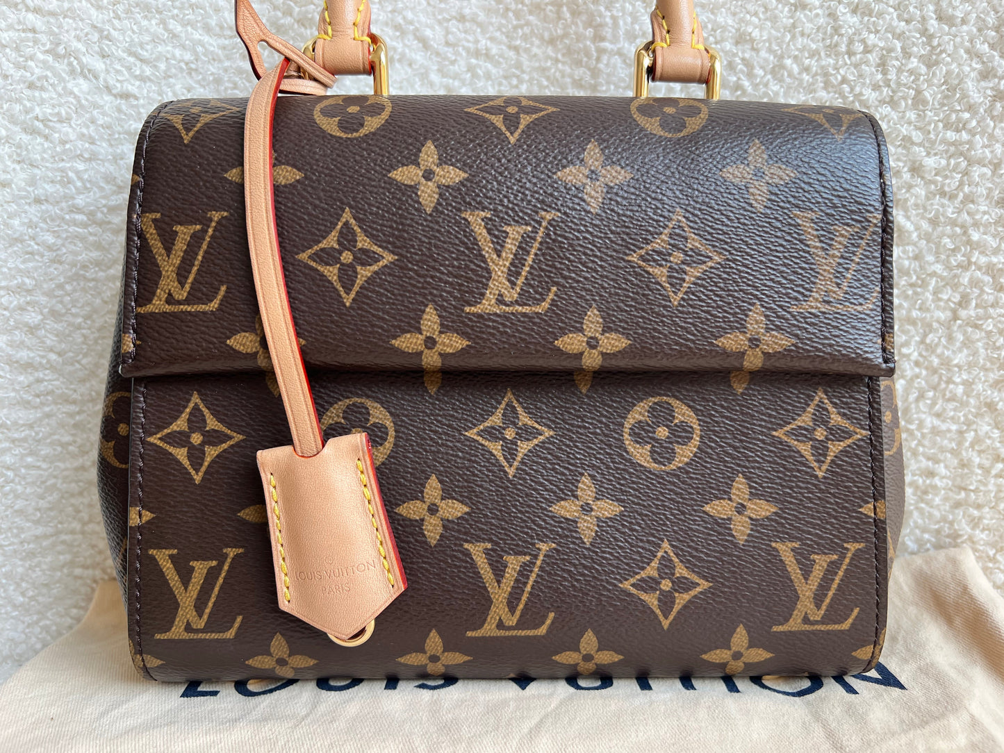 Louis Vuitton Mini Cluny Monogram (RRP £1770)