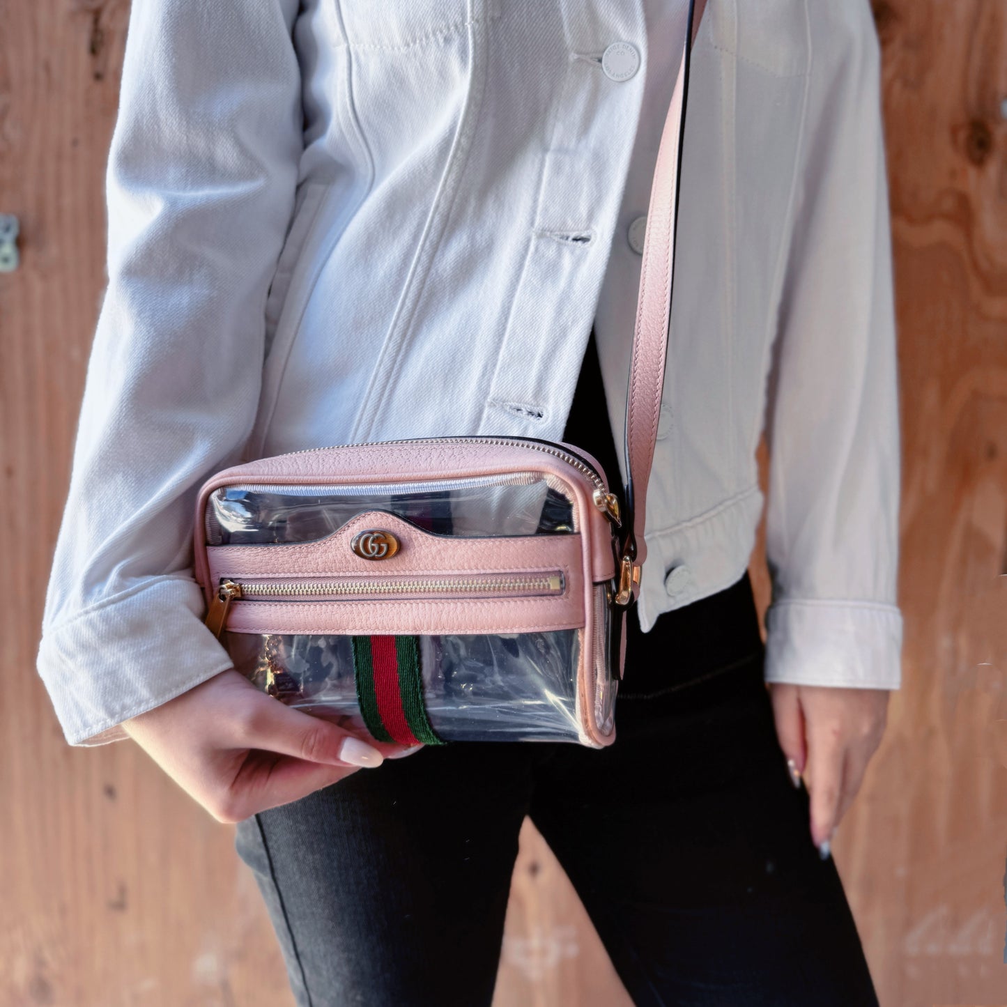 GUCCI Ophidia Mini Transparent Bag