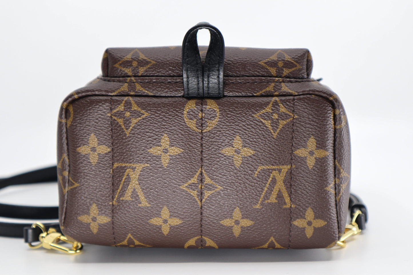 Louis Vuitton Palm Springs Mini