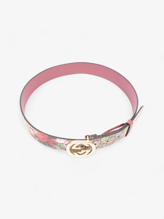 Gucci Blooms Belt GG Supreme / Bloom Canvas 80cm / 32"