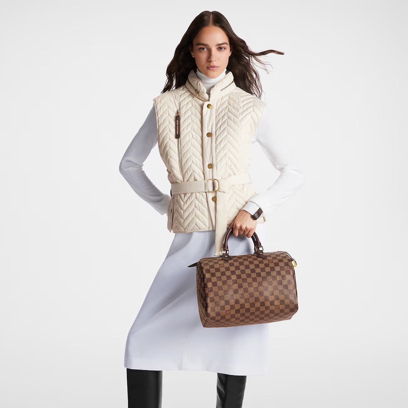 LOUIS VUITTON DAMIER EBENE SPEEDY 30 HANDBAG