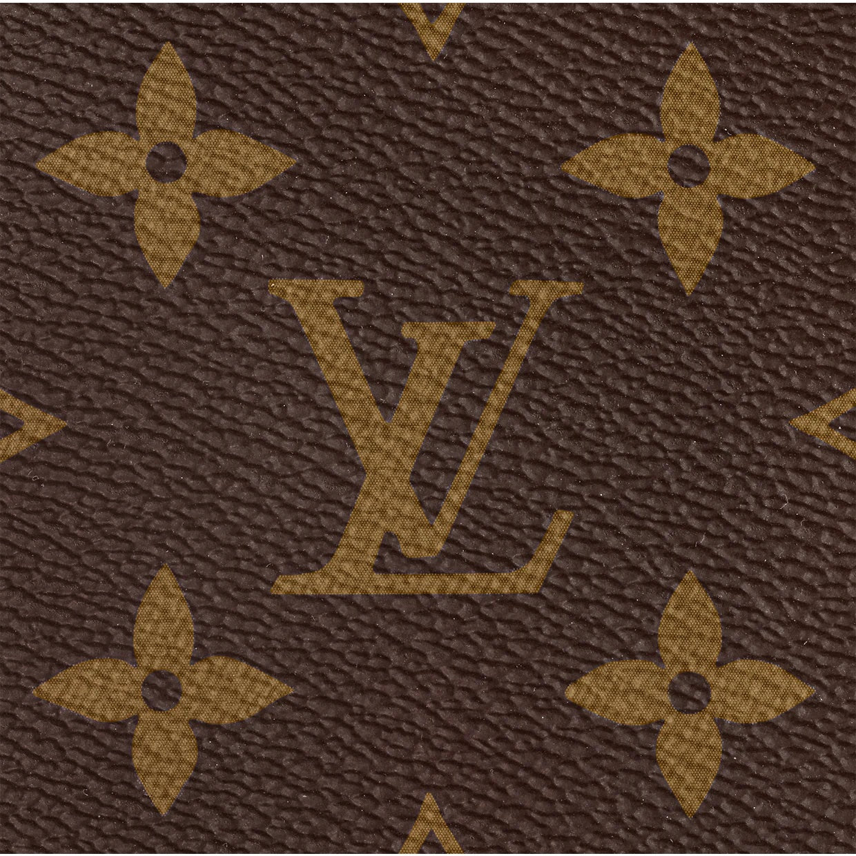 LOUIS VUITTON MONOGRAM SPEEDY 25 HANDBAG