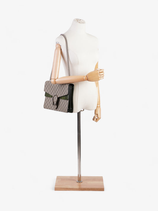 Gucci Dionysus Supreme / Green Python Coated Canvas Medium