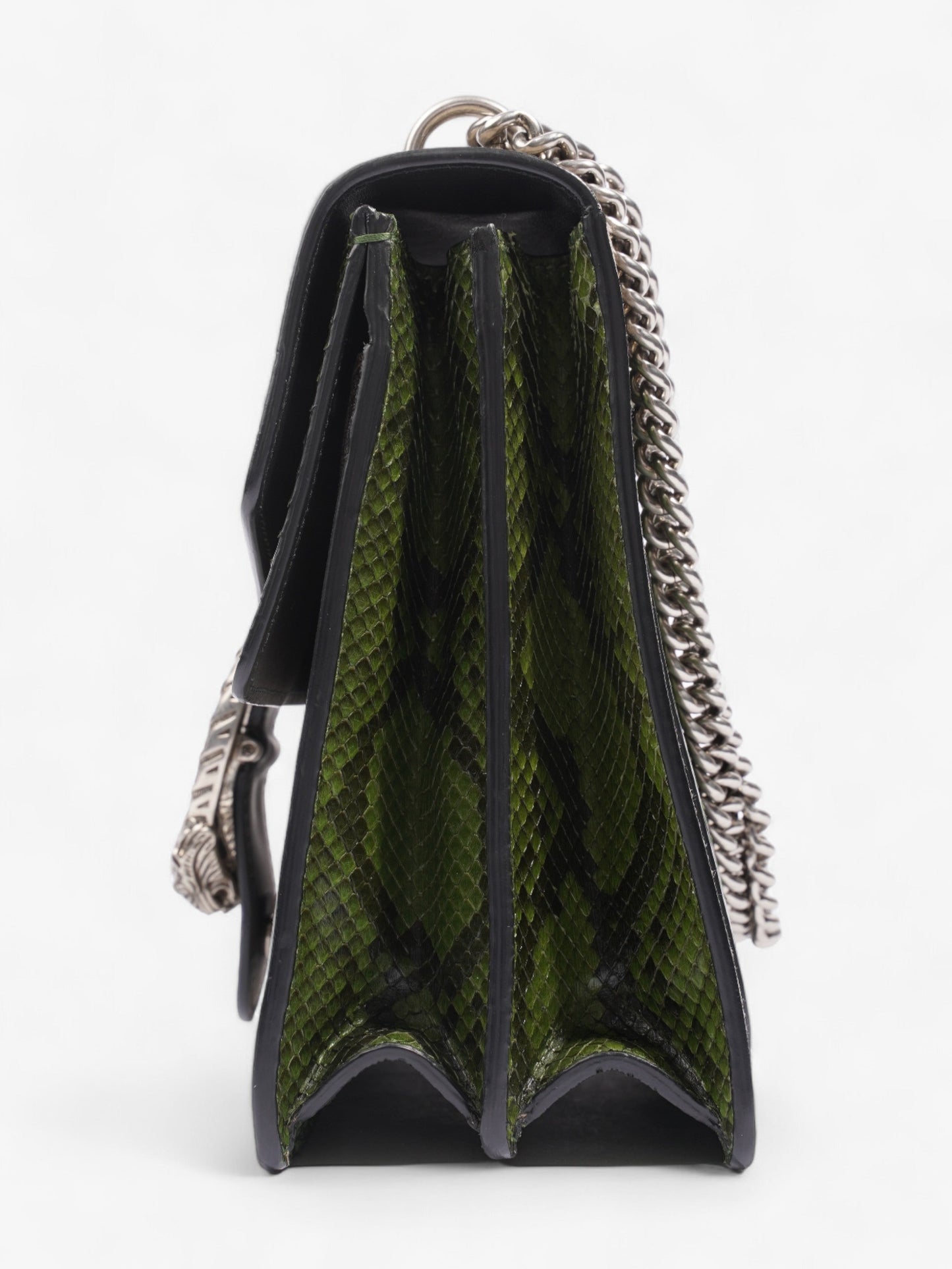 Gucci Dionysus Supreme / Green Python Coated Canvas Medium