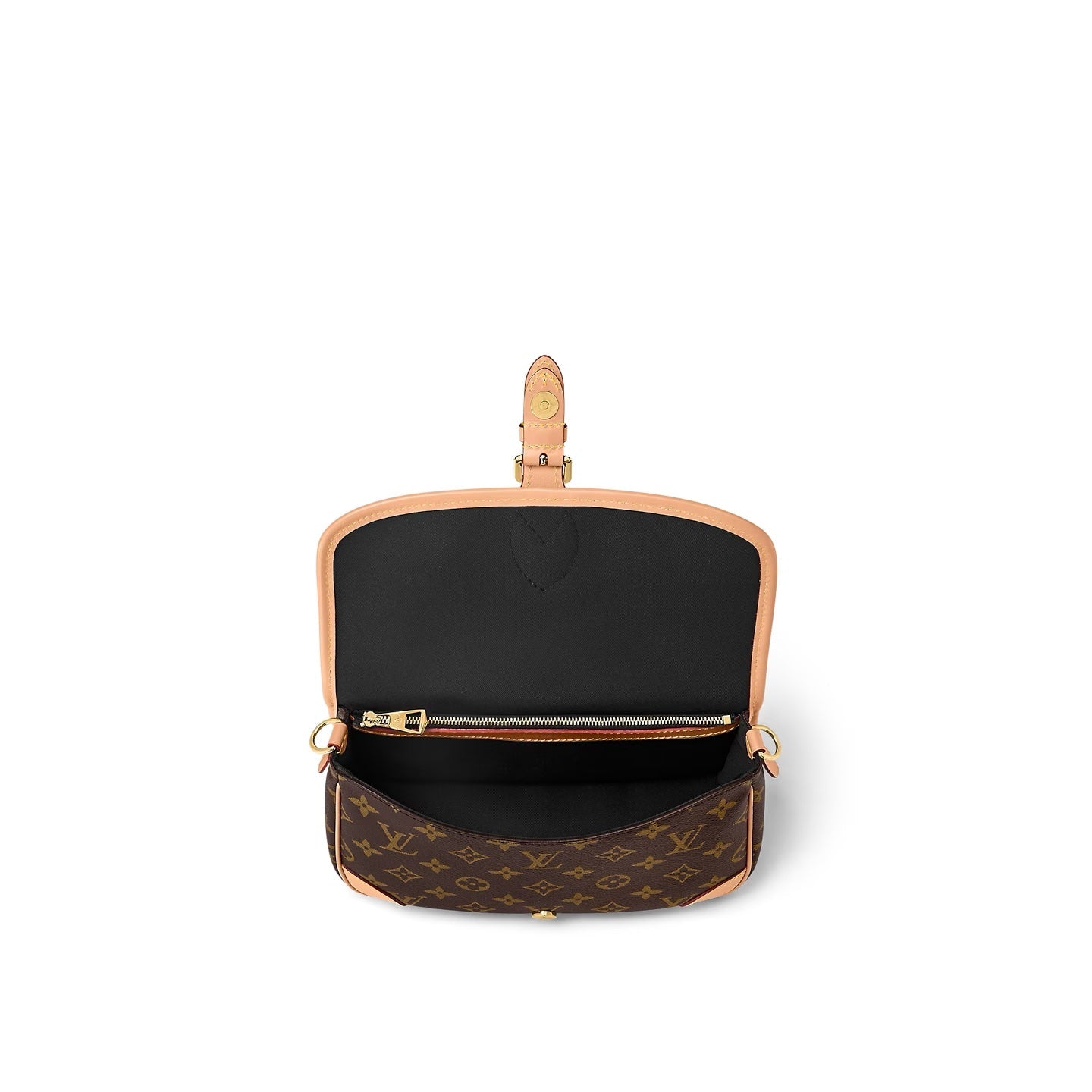 LOUIS VUITTON MONOGRAM DIANE SATCHEL