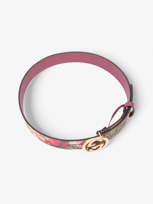 Gucci Interlocking G Belt Bloom Monogram Canvas 80cm / 32"