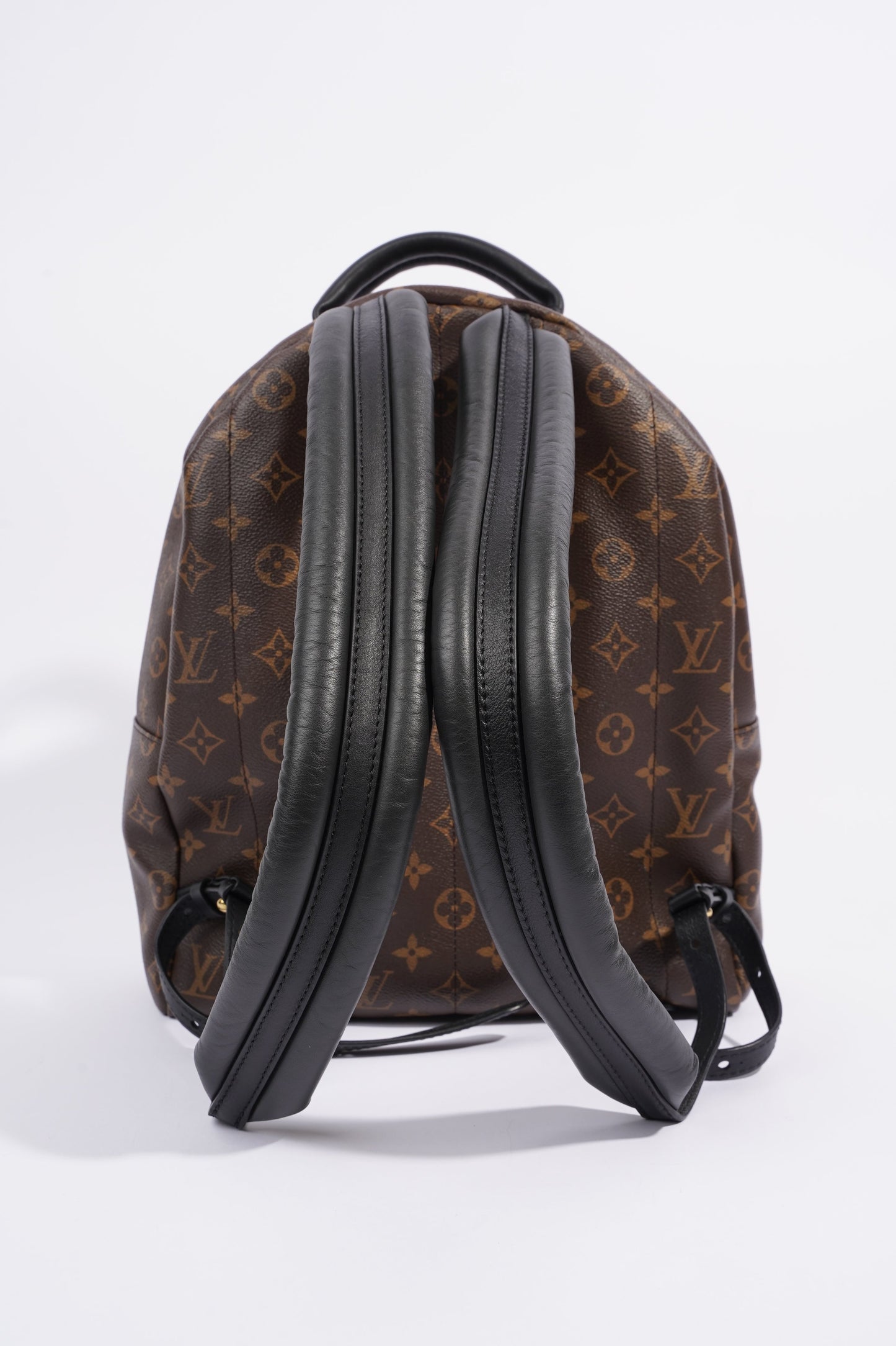 Louis Vuitton Palm Spring Backpack Monogram Canvas MM