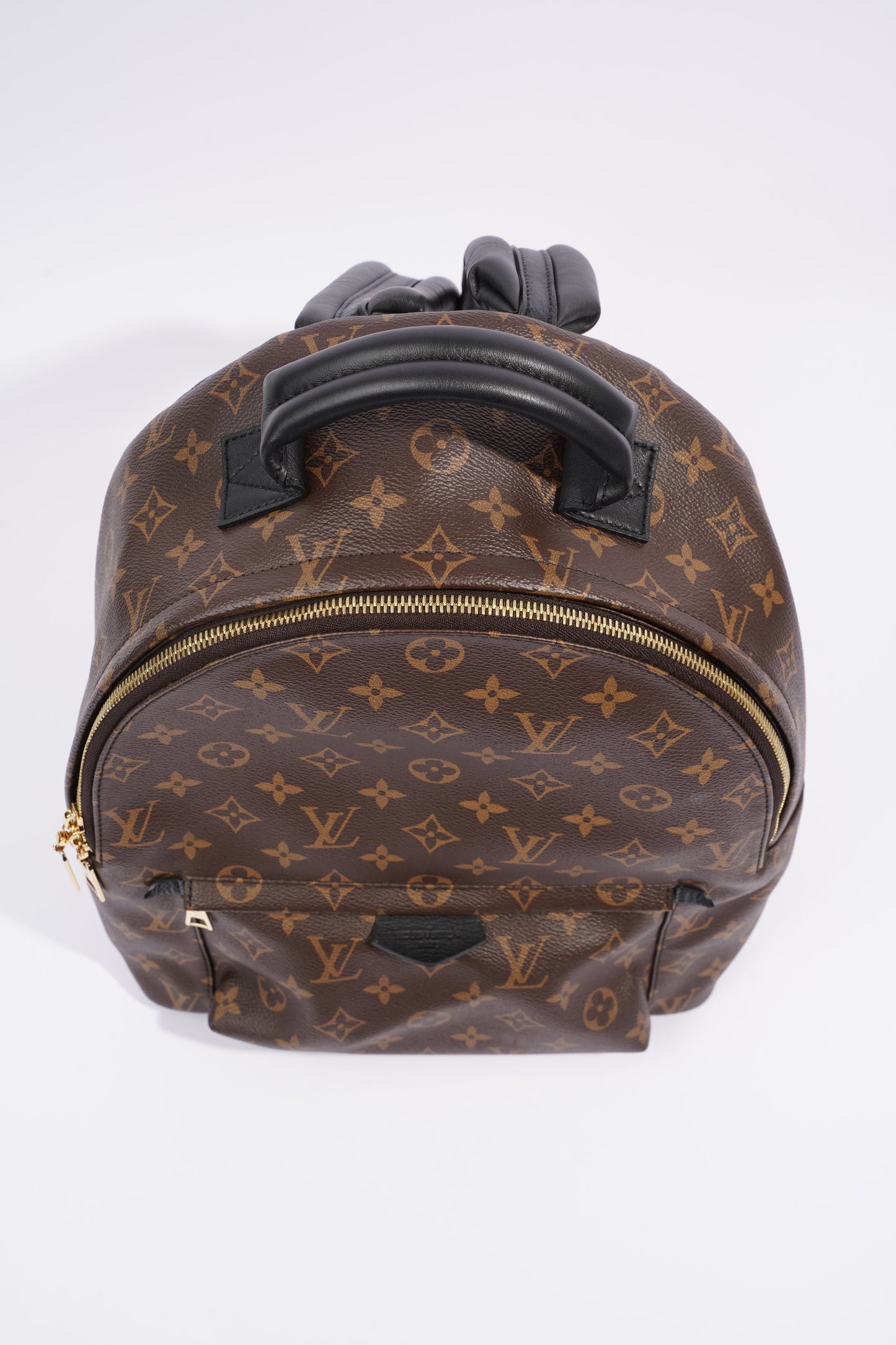 Louis Vuitton Palm Spring Backpack Monogram Canvas MM