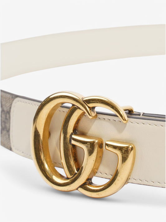 Gucci GG Blet Beige  / White Coated Canvas