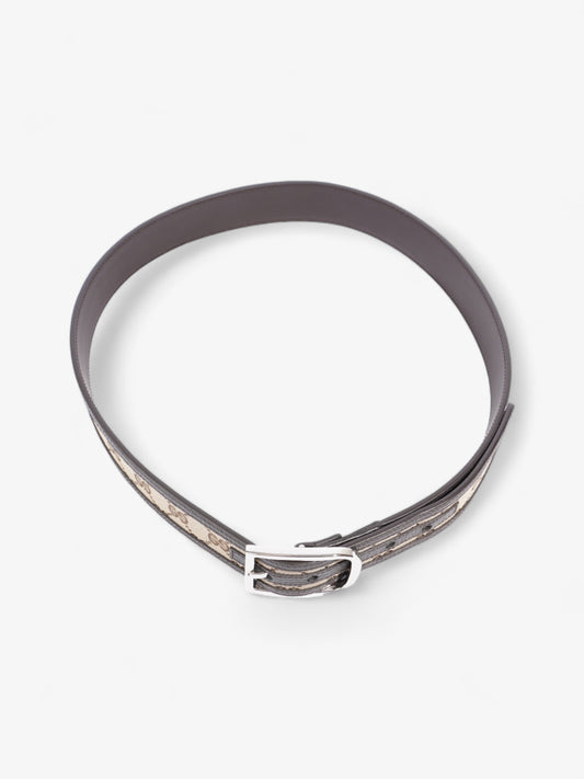 Gucci Gucci GG belt Beige And Ebony GG Supreme / Brown Leather Leather 95cm 38mm