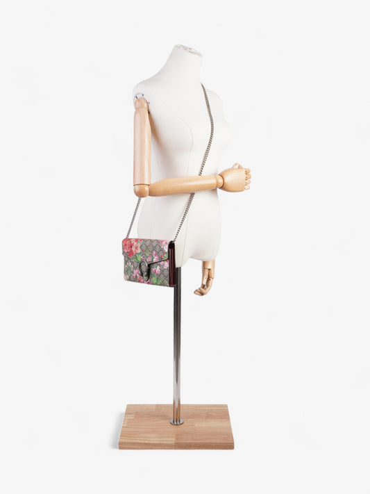 Gucci Dionysus Chain Wallet Bloom / Supreme Coated Canvas