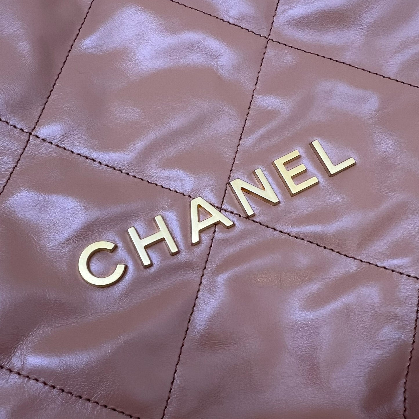 Chanel 22 Small Hobo Handbag in Caramel Calfskin and AGHW