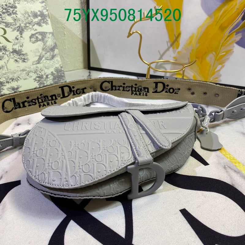 Christian Dior Luxury Bag - The Tote   579