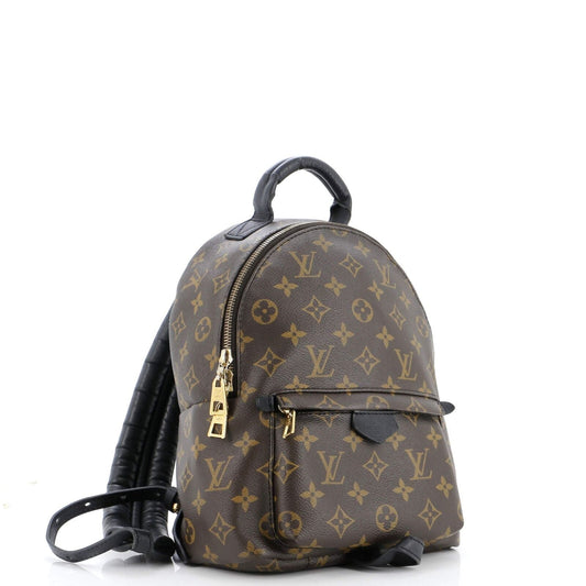 Louis Vuitton Palm Springs Backpack