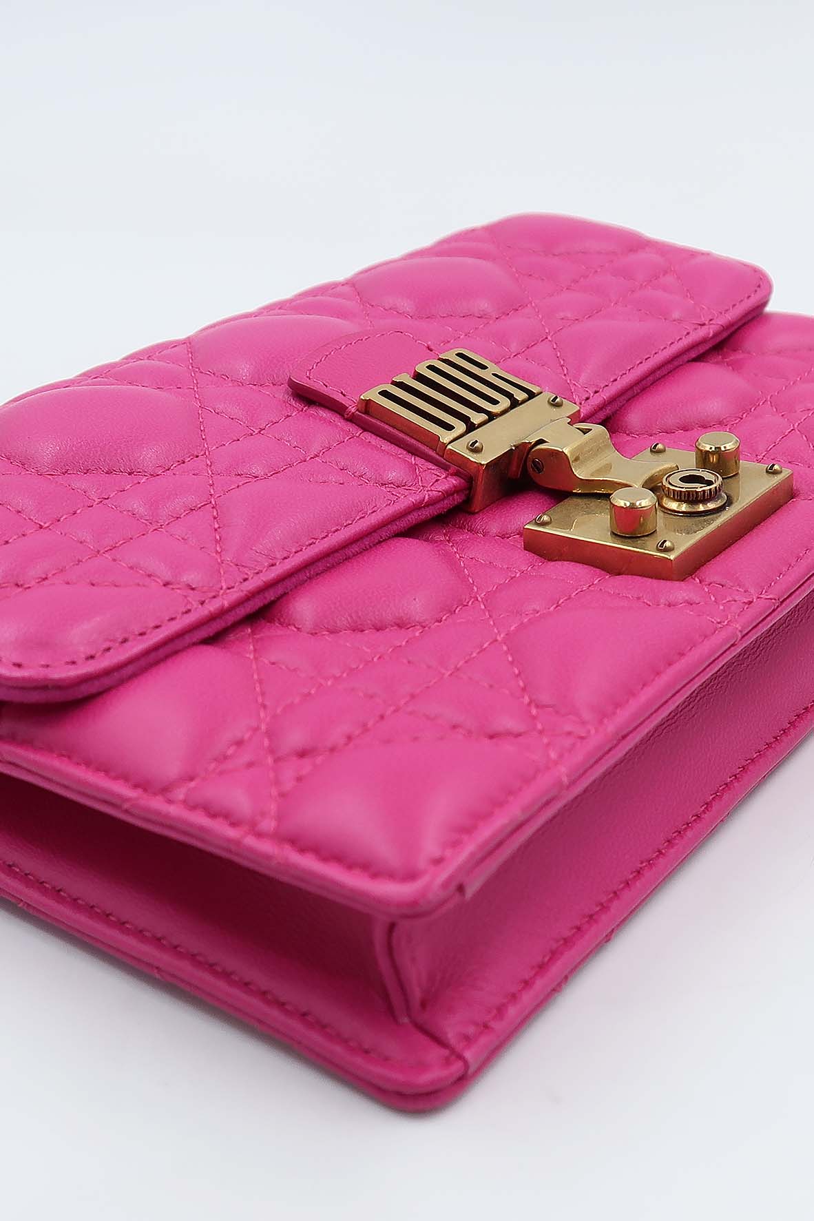 Dioraddict Wallet on Chain Fuschia