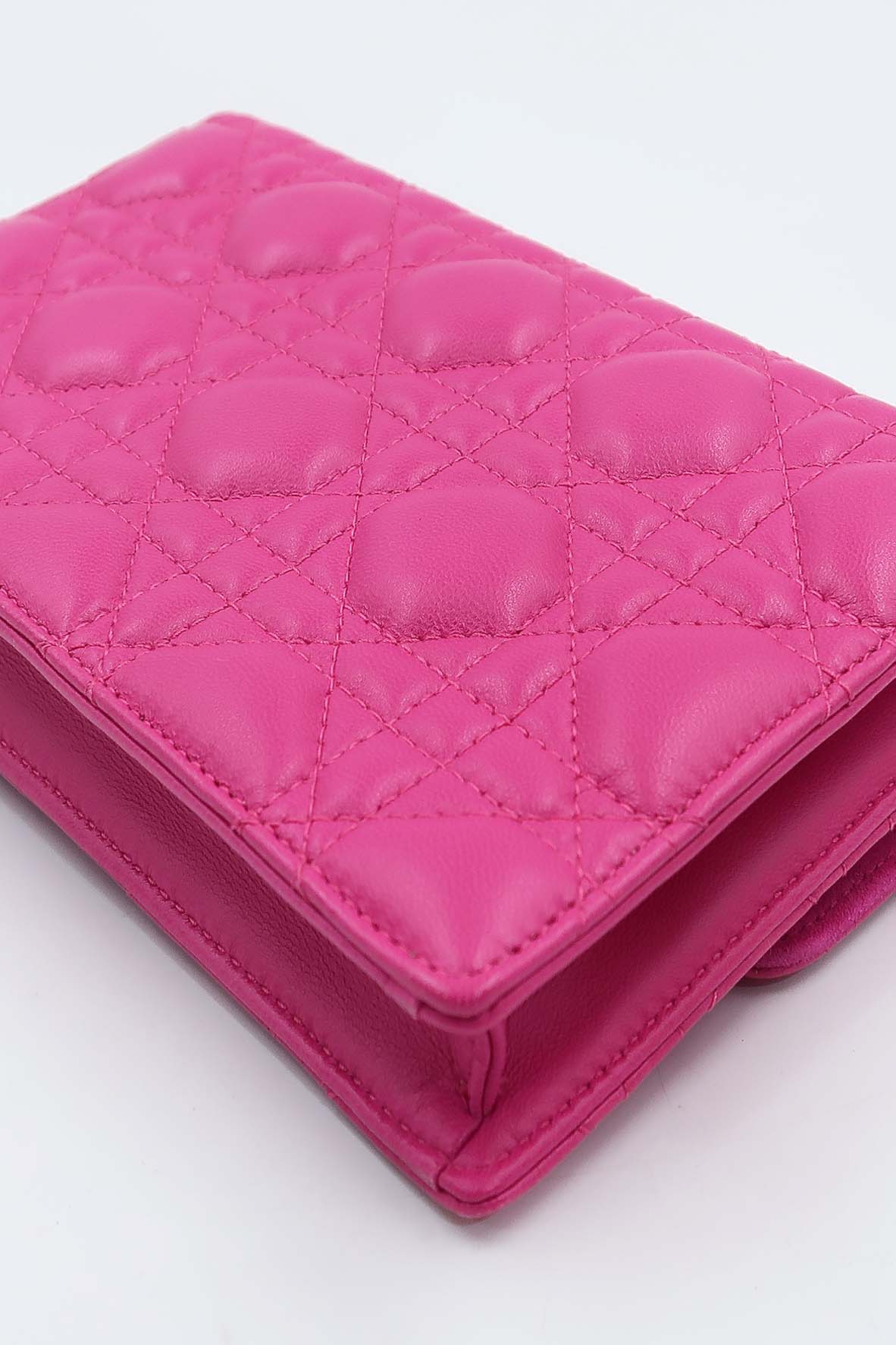 Dioraddict Wallet on Chain Fuschia