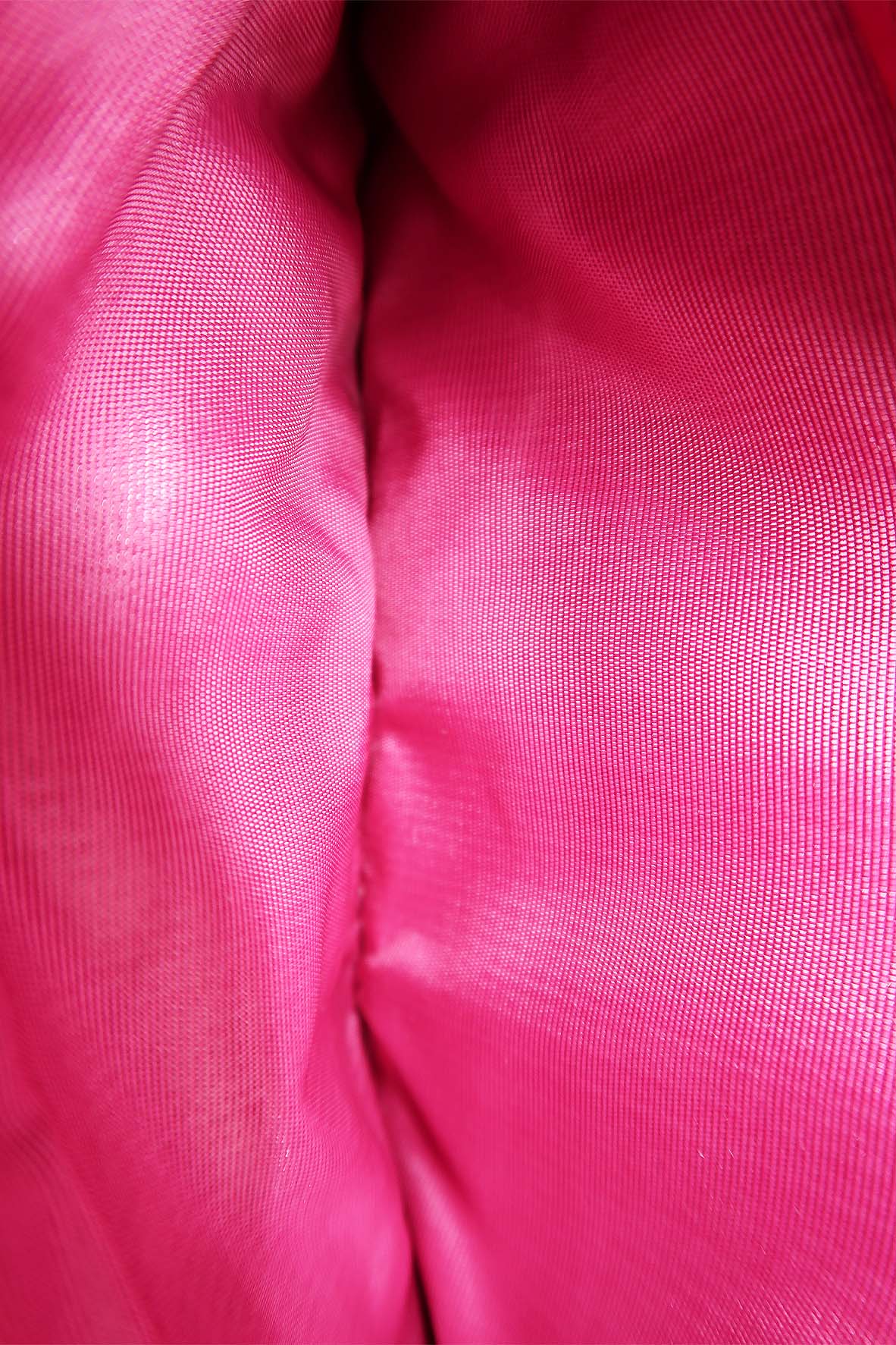 Dioraddict Wallet on Chain Fuschia