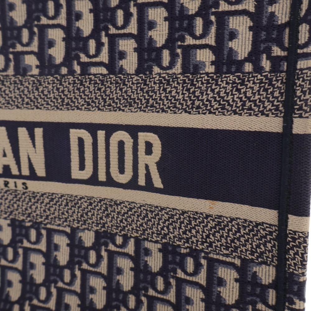 Blue Canvas Dior Book Tote