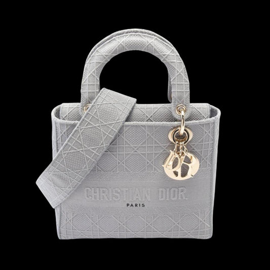 Grey Canvas Dior Lady Dior