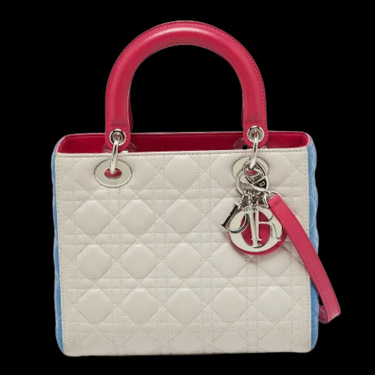 Multicolor Leather Dior Lady Dior