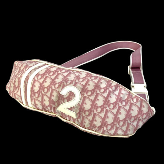 Pink Fabric Dior Belt Bag