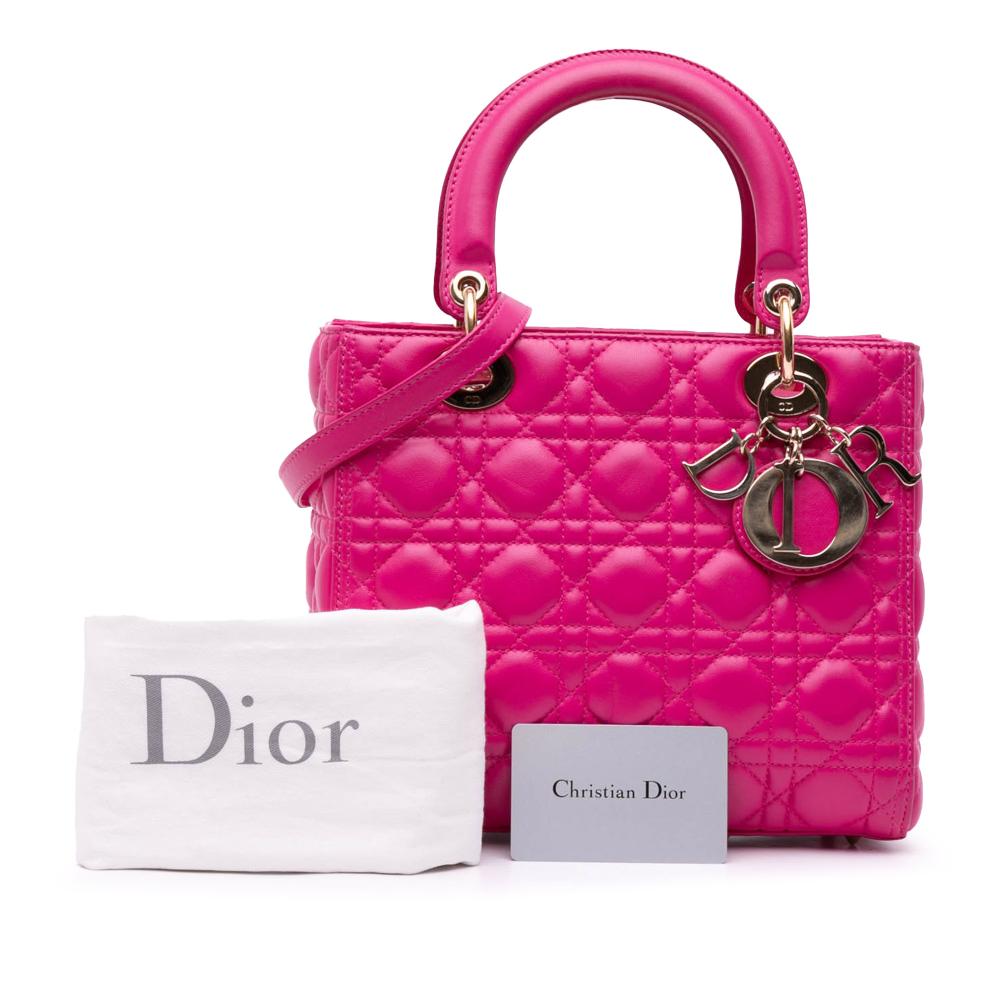 Pink Leather Dior Lady Dior