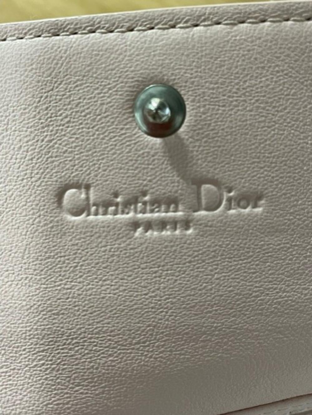 Pink Leather Dior Lady Dior