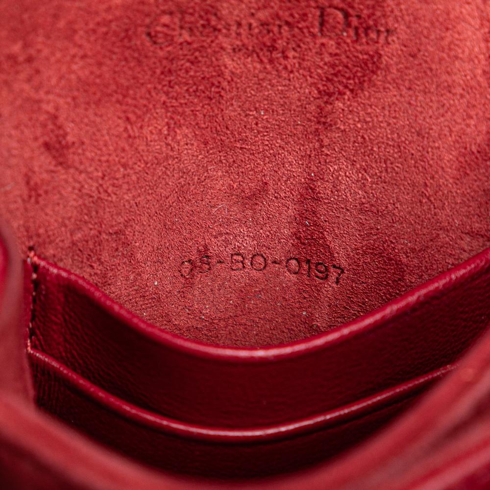 Red Leather Dior Diorama